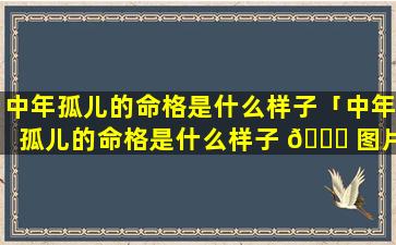 中年孤儿的命格是什么样子「中年孤儿的命格是什么样子 💐 图片」